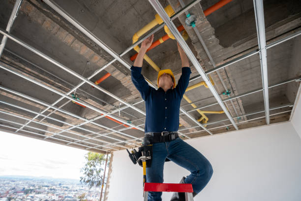 Best Sprinkler Systems  in Adelphi, MD