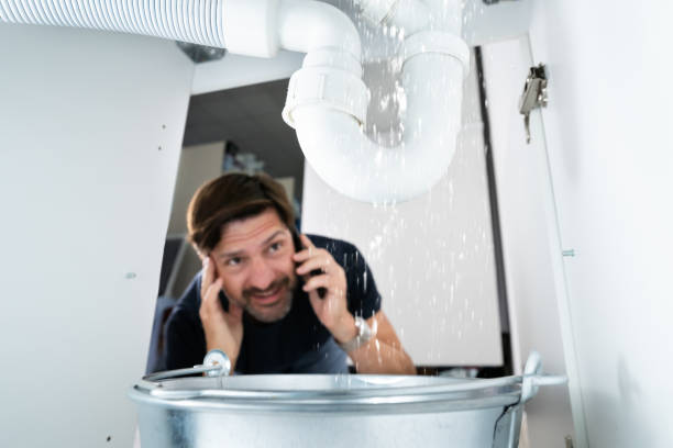 Best Shower Repair Services  in Adelphi, MD