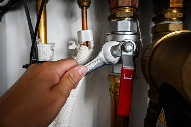 Best Sprinkler Systems  in Adelphi, MD